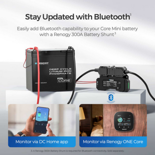 RENOGY Lithium Battery 12V 100Ah Mini